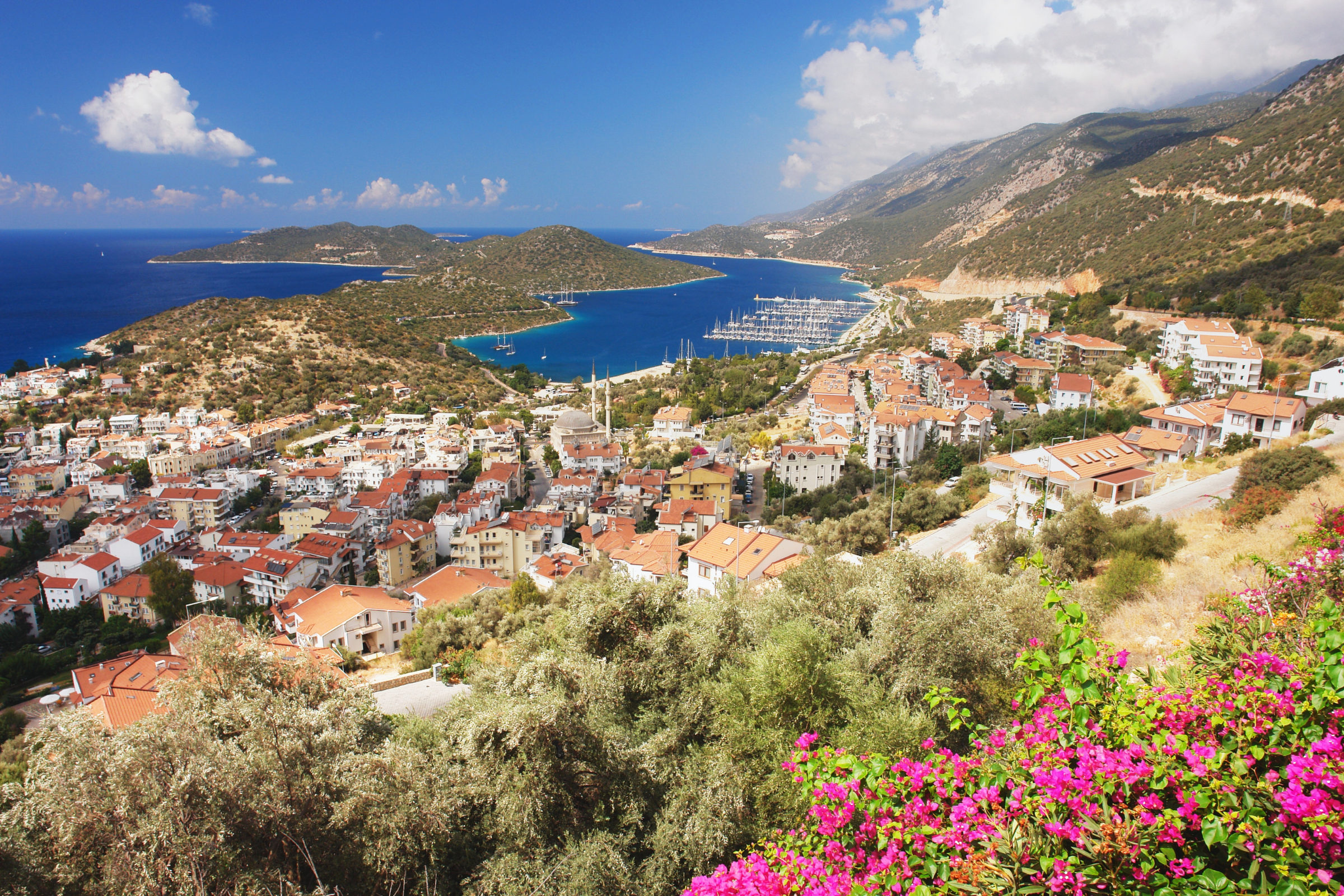 kas 02.webp